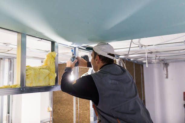 Best Blown-in Insulation  in Highfill, AR